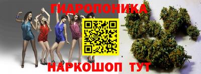 СК Свободный