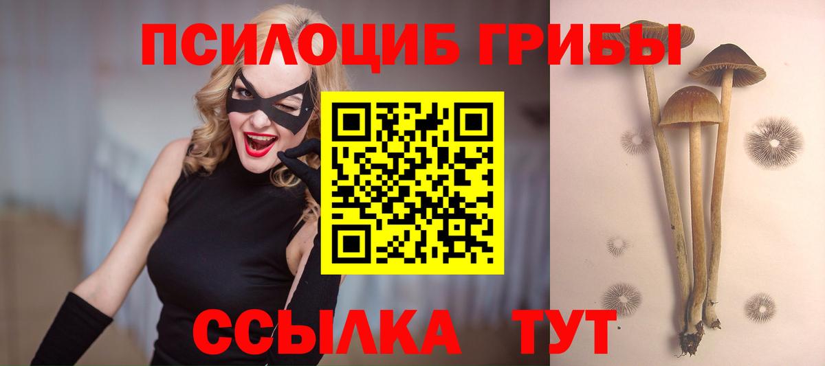 Псилоцибиновые грибы мухоморы Печора